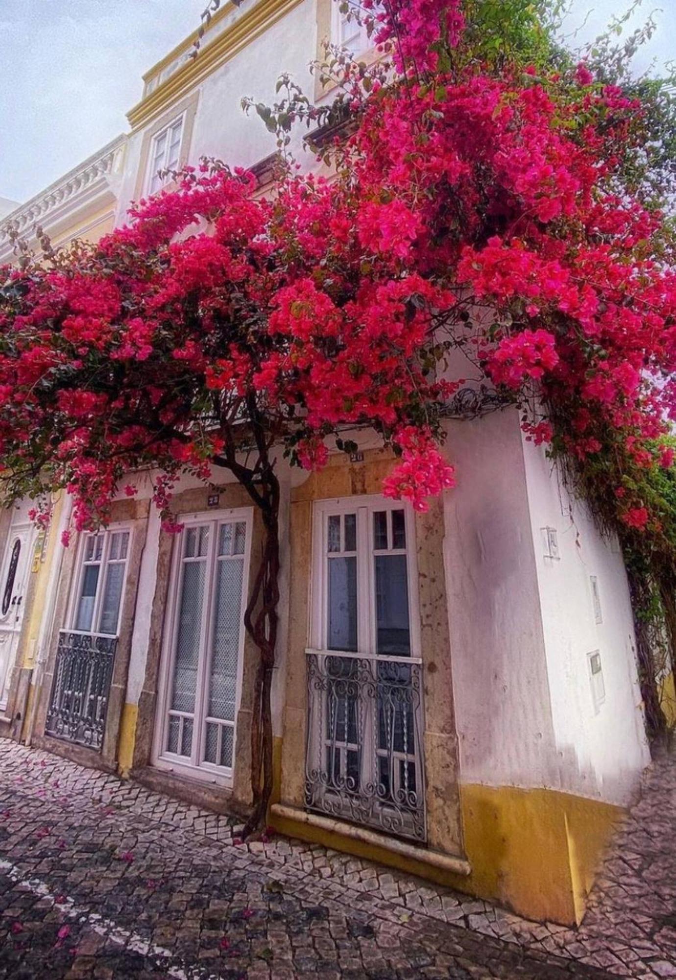 Elegant Studio Formosa In Taviras Historica Centre Villa Exterior foto